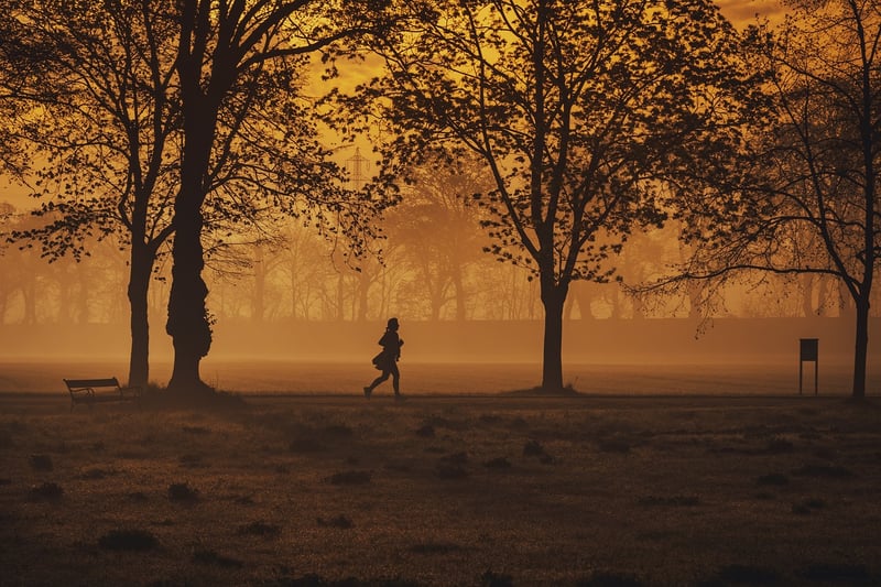 Jogging in the park